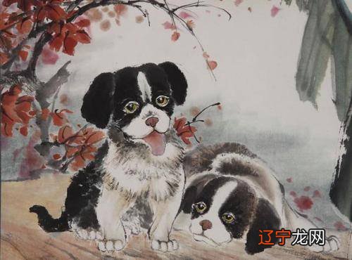 生肖兔和属狗的人相配度有多高，有你吗？