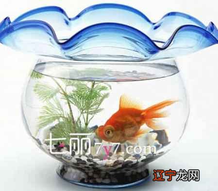 养鱼的数量风水根据河图确定“河图洛水”的天地生成数口诀