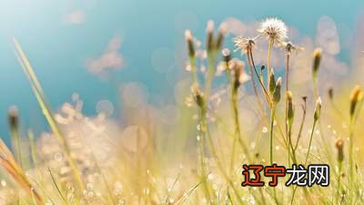 关于梦见水浪海浪梦到海水的好坏含义，预示着什么？