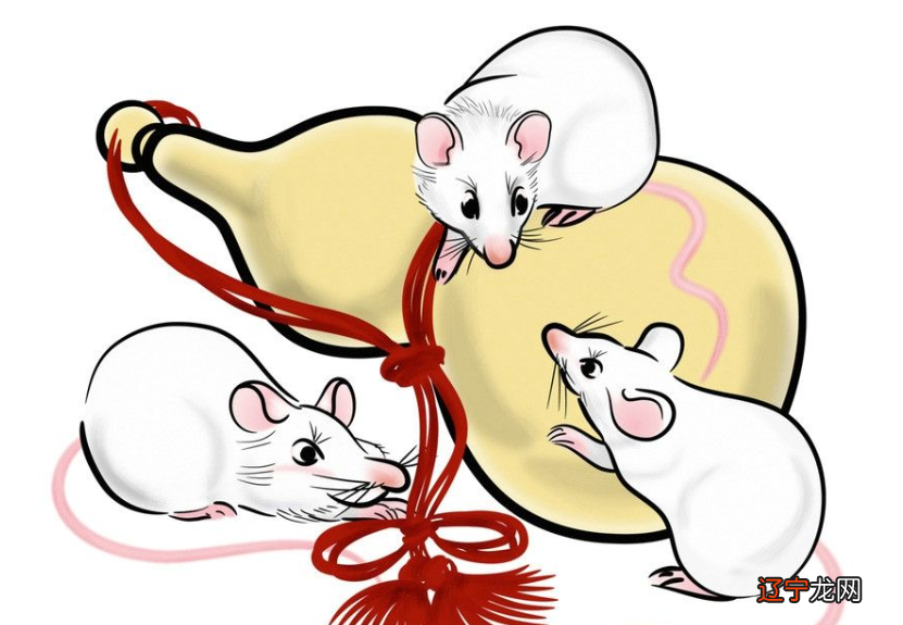 组图 属鼠问属蛇的生肖带什么吊坠比较好?