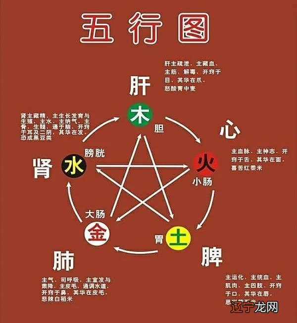边字五行属什么生肖_1971年属猪的五行属什么生肖_水字属什么五行属什么颜色