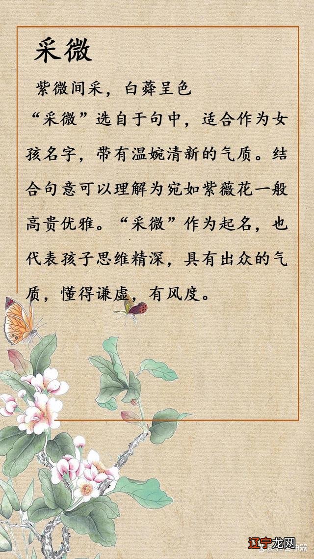 捧在手心里怕摔了,含在嘴巴里怕化了!