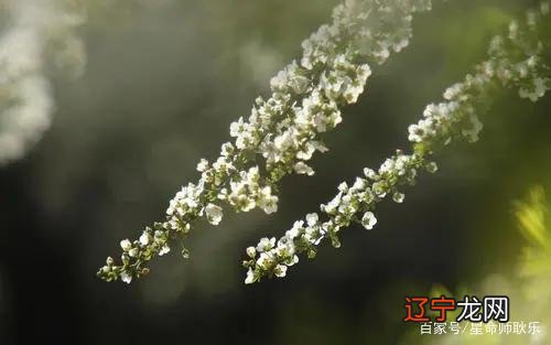 土象 星座_土象星座谁最美_风象火象水象土象相配