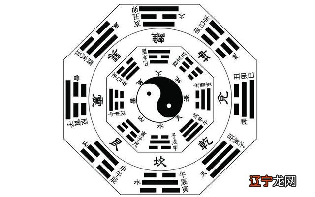 五行鸟属什么生肖 肠胃感染科和肾科.牙科暂时还没看..