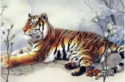 一下2016年里，属虎的属相婚配表具体是怎样