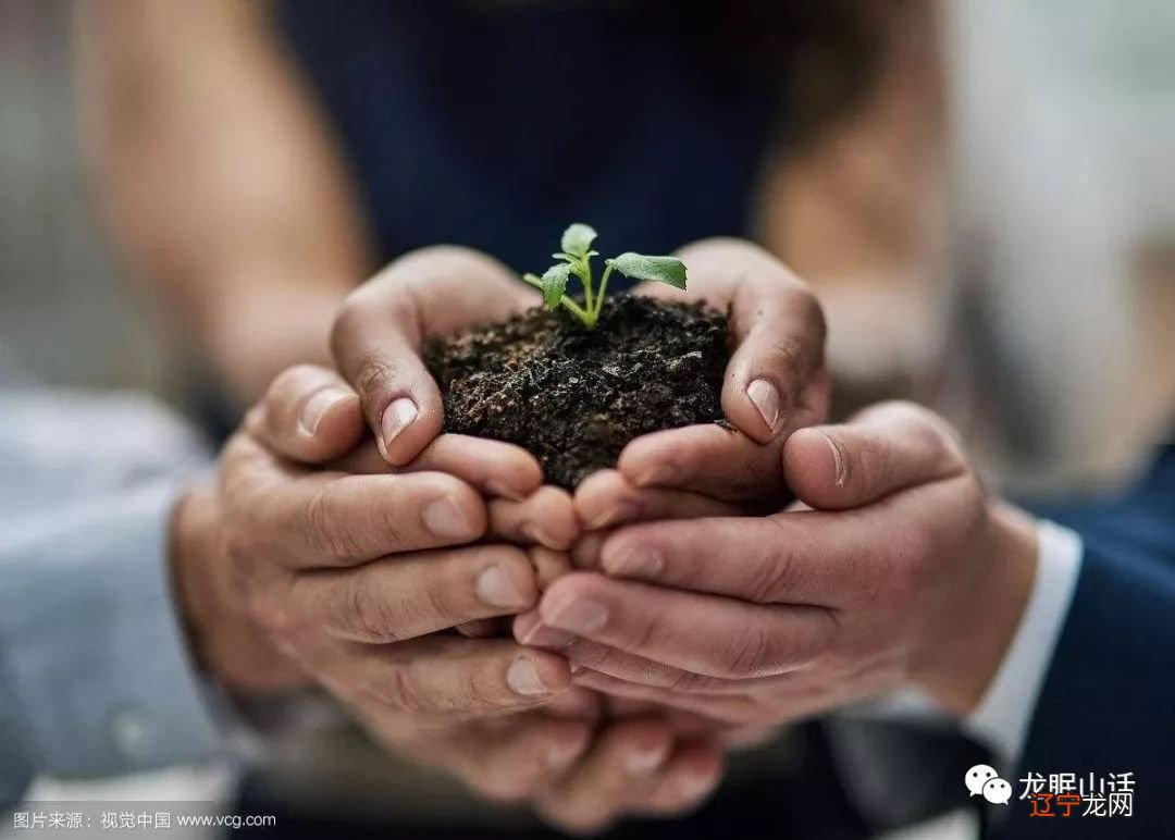 讲讲风水堂:讲讲紫微的合婚方法叫太岁入卦法