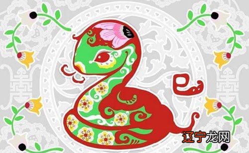 属蛇的人2021年整体运势生肖蛇人在2021年里