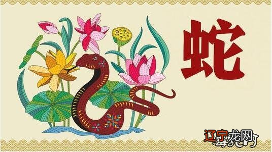 属蛇的人2021年整体运势生肖蛇人在2021年里