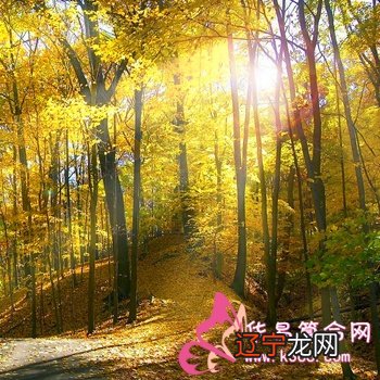 风水堂:再有效的解灾方法也不可能完全化掉凶病灾