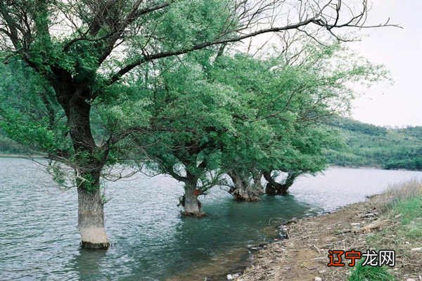 风水堂:再有效的解灾方法也不可能完全化掉凶病灾