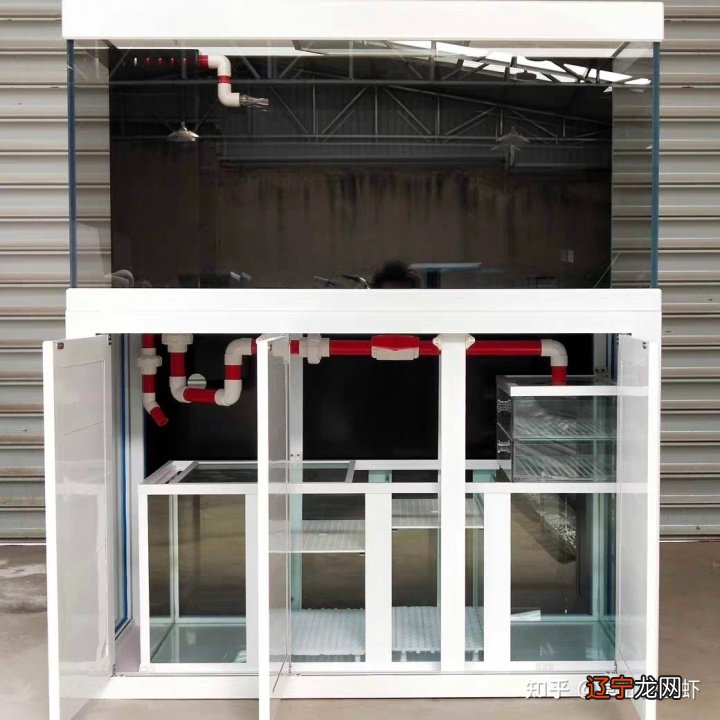 鱼缸水清鱼靓,鱼儿就像是在空气里游动一样?