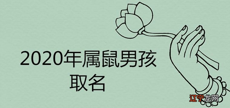 鼠宝宝起名字大全男孩名字内容，你了解吗？
