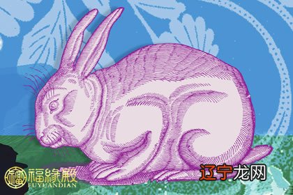 很准的复合生肖中老年属相:买什么生肖准确答案