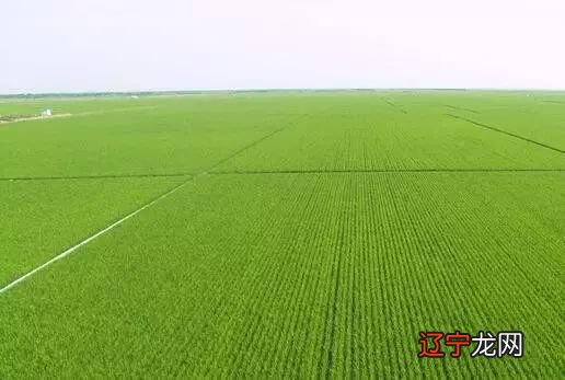 《渊海子平》一书：算命批八字是否可信？