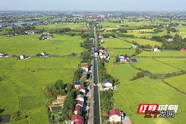 男女四柱合婚八字合婚主要看哪一柱是合婚的关键