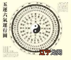 《归大道者,不问》第6期:,先修言,而行