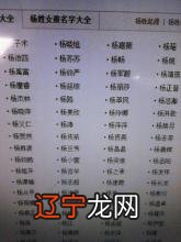 八十一数理吉凶释意,好了书规难获,艺界发展,渴望成功