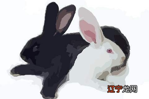 属兔和属马合婚姻就是不好的人配对不会多