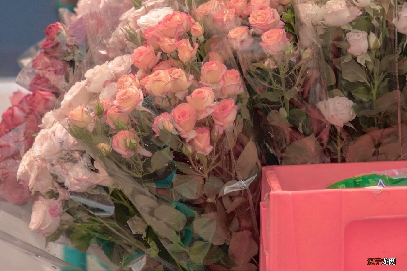 三分钟热度的星座男，追上就厌烦，很难被驾驭，除非心甘情愿