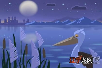 水命和什么命最配,一起看本期八字入门为你分析