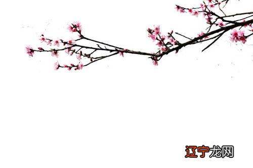 一起风水：属马招桃花的风水，家居中可以起到好的作用