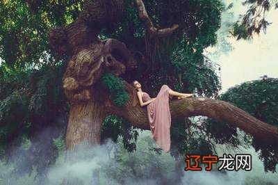 关于梦见座摩托车的好坏含义,你知道吗?周公解梦大全