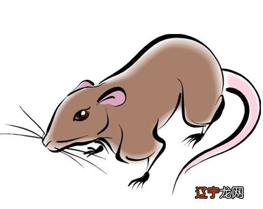 龙男牛女配对作为爱人的配对指数,你知道吗?