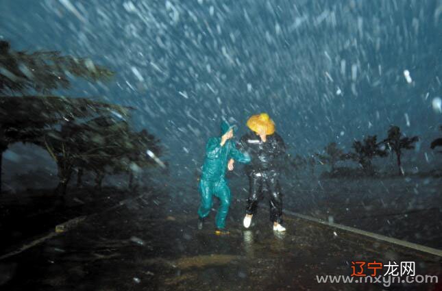 梦见狂风骤雨 就是风水堂：梦到下雪预示了什么？