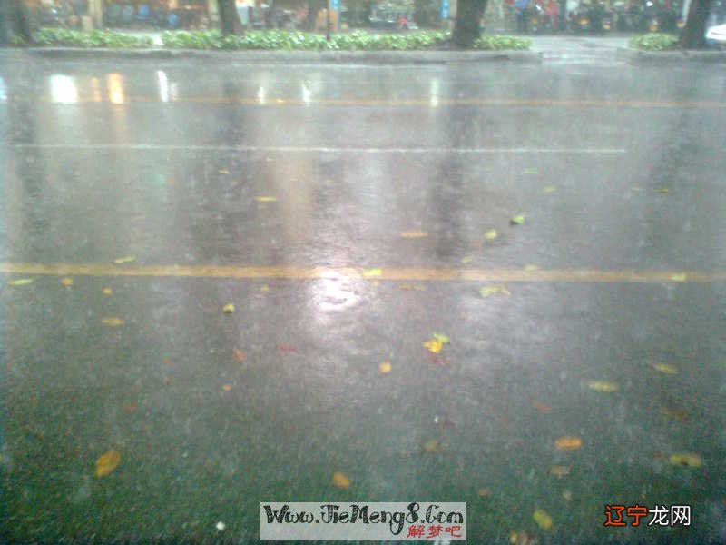 梦见狂风骤雨 就是风水堂：梦到下雪预示了什么？