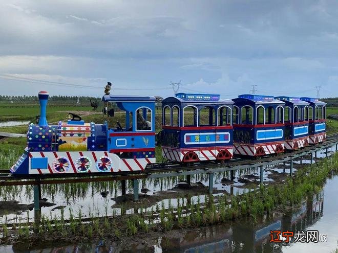 2022爱辉区夏日精品旅游线路推荐，赶紧收藏吧！！