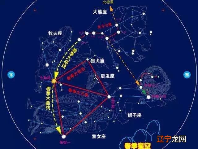 火象星座火象星座星座