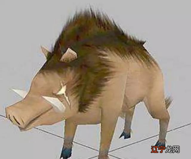 风水堂:1971年的属相猪是什么命