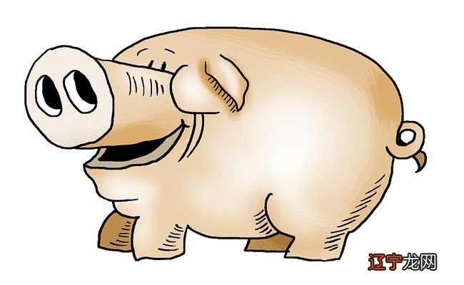 风水堂:1971年的属相猪是什么命