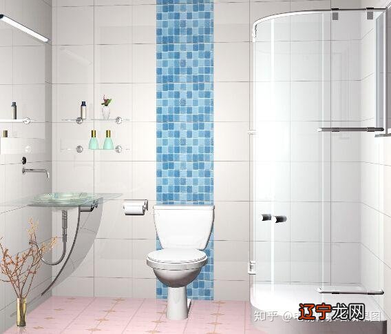 周易厕所门对着入户门_马诺诺诺门 vs 闫凤娇厕所门_90后厕所门