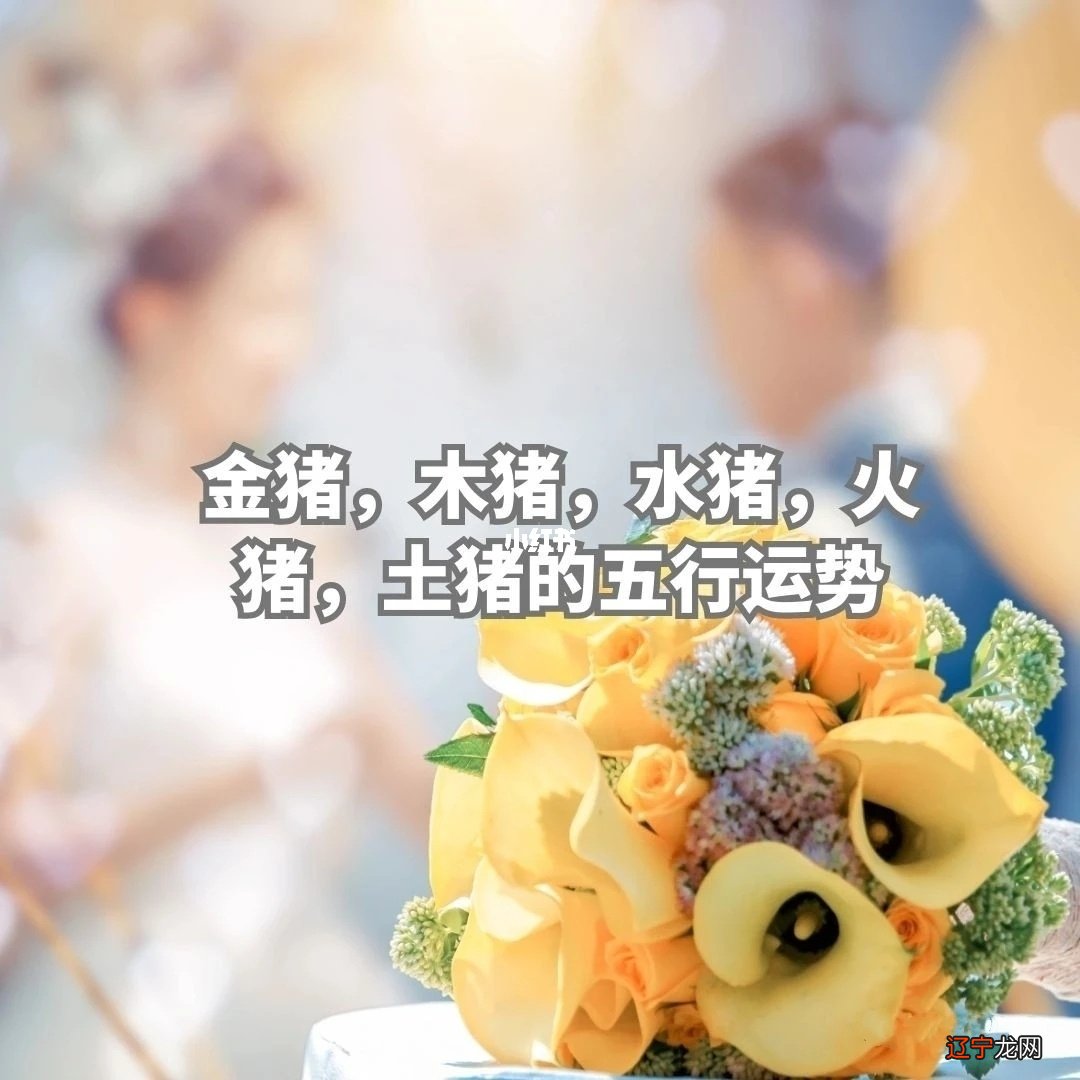 十二生肖风水堂：83年出生的属猪女