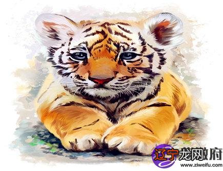 这一年出生的生肖，会变得更好还是变得更差还是更差