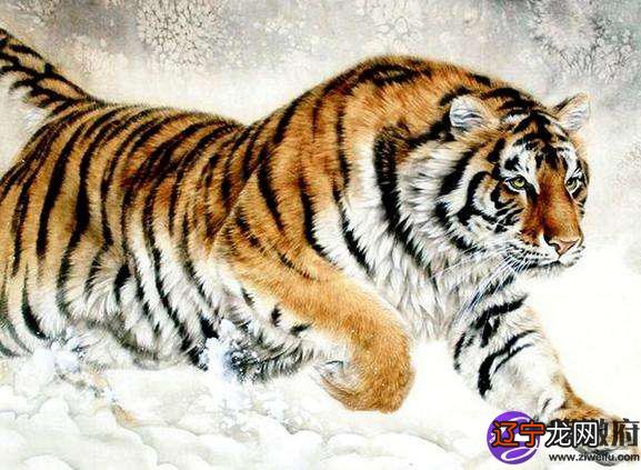 这一年出生的生肖，会变得更好还是变得更差还是更差