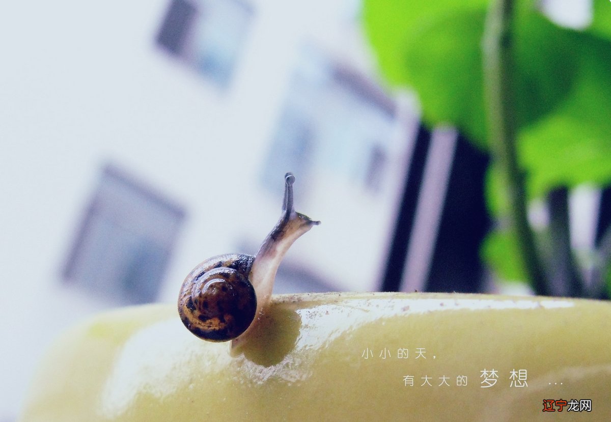 女人梦见自己上学迟到_梦见迟到_梦见高考迟到