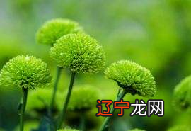 2月14日哪三个生肖过完情人节，好运开始大爆发