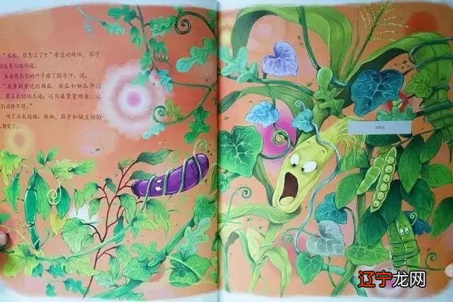 梦见南瓜开花 考考你的自然科普绘本，让孩子爱上你的孩子