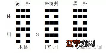 梅花断卦中如何定应期，包括卦象直读、卦的旺衰定应期