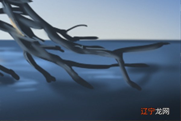 属虎的人最适合住什么楼层?看看你家有没有?