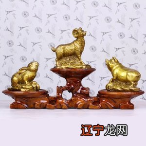 属龙的和属狗的合财吗_属猪人的三合生肖_属牛的和属龙的合财吗