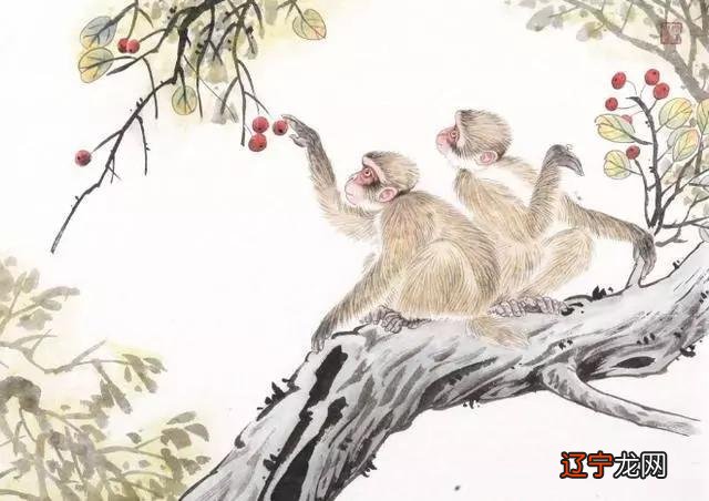 属羊女人的婚配生肖_男属虎属女羊婚配_1981年属鸡的婚配生肖