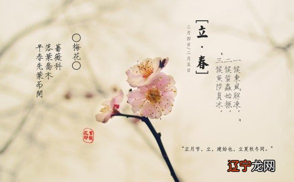 阳历还是阴历算出来的,连自己的生肖都搞不清楚