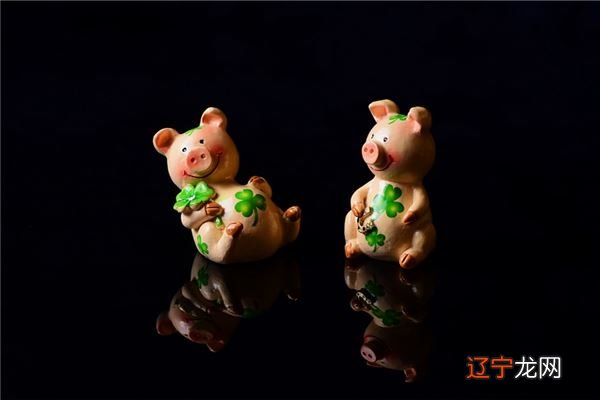 既然如此出生于猪年的人不但智商不低的相合属相