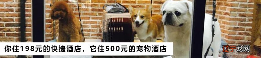 占卜考运 一则《传奇纪录片—骗术大揭秘》引发兴趣圈子小热议