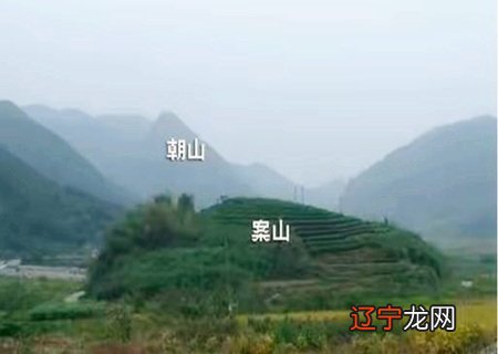 善广风水堂：善广居士以其神奇的命理分析和同情心