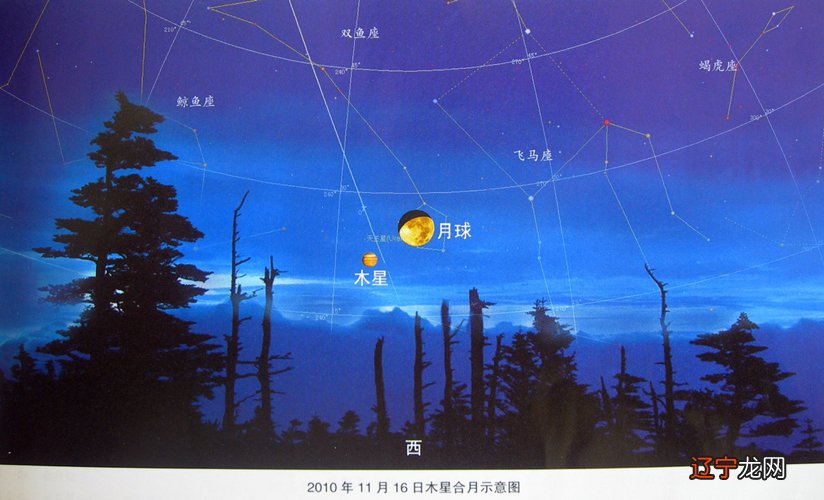 - 苏珊米勒:2021年7月星座运程射手座