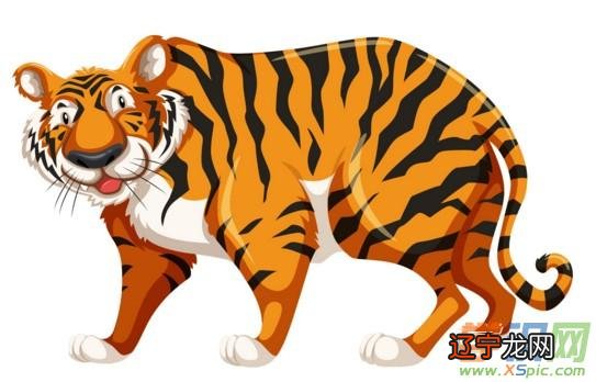 生肖兔与虎的婚姻状态就是最好的生肖猪人